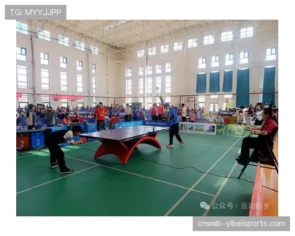 新乡主场观众助威 激发球队战斗力与城市荣誉感